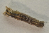  ( - IBSAS-TA5118)  @11 [ ] CreativeCommons  Attribution Non-Commercial Share-Alike (2022) Unspecified Slovak Academy of Sciences, Plant Science and Biodiversity Centre