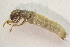  ( - IBSAS-TA5254)  @11 [ ] CreativeCommons  Attribution Non-Commercial Share-Alike (2022) Unspecified Slovak Academy of Sciences, Plant Science and Biodiversity Centre