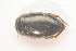  ( - IBSAS-TA3574)  @11 [ ] CreativeCommons  Attribution Non-Commercial Share-Alike (2018) Unspecified Slovak Academy of Sciences, Plant Science and Biodiversity Centre