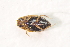  ( - IBSAS-TA3719)  @11 [ ] CreativeCommons  Attribution Non-Commercial Share-Alike (2018) Unspecified Slovak Academy of Sciences, Plant Science and Biodiversity Centre