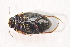  ( - IBSAS-TA3758)  @11 [ ] CreativeCommons  Attribution Non-Commercial Share-Alike (2018) Unspecified Slovak Academy of Sciences, Plant Science and Biodiversity Centre