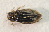  ( - IBSAS-TA3858)  @11 [ ] CreativeCommons  Attribution Non-Commercial Share-Alike (2018) Unspecified Slovak Academy of Sciences, Plant Science and Biodiversity Centre