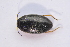  ( - IBSAS-TA3977)  @11 [ ] CreativeCommons  Attribution Non-Commercial Share-Alike (2018) Unspecified Slovak Academy of Sciences, Plant Science and Biodiversity Centre
