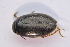  ( - IBSAS-TA3988)  @11 [ ] CreativeCommons  Attribution Non-Commercial Share-Alike (2018) Unspecified Slovak Academy of Sciences, Plant Science and Biodiversity Centre