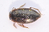  ( - IBSAS-TA4012)  @11 [ ] CreativeCommons  Attribution Non-Commercial Share-Alike (2018) Unspecified Slovak Academy of Sciences, Plant Science and Biodiversity Centre