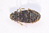  ( - IBSAS-TA4020)  @11 [ ] CreativeCommons  Attribution Non-Commercial Share-Alike (2018) Unspecified Slovak Academy of Sciences, Plant Science and Biodiversity Centre