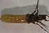  ( - IBSAS-TA4294)  @11 [ ] CreativeCommons  Attribution Non-Commercial Share-Alike (2020) Unspecified Slovak Academy of Sciences, Plant Science and Biodiversity Centre