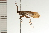  ( - 08SKCAD-0027)  @13 [ ] CreativeCommons - Attribution (2008) Unspecified Centre for Biodiversity Genomics