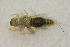  ( - IBSAS-BC3068)  @11 [ ] CreativeCommons  Attribution Non-Commercial Share-Alike (2020) Patrik Macko Slovak Academy of Sciences, Plant Science and Biodiversity Centre