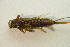  ( - IBSAS-BC3300)  @11 [ ] CreativeCommons  Attribution Non-Commercial Share-Alike (2020) Patrik Macko Slovak Academy of Sciences, Plant Science and Biodiversity Centre