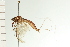  ( - 08SKMAY-0005)  @13 [ ] CreativeCommons - Attribution (2009) Unspecified Centre for Biodiversity Genomics