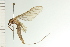  ( - 08SKMAY-0007)  @13 [ ] CreativeCommons - Attribution (2009) Unspecified Centre for Biodiversity Genomics