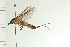  ( - 08SKMAY-0008)  @13 [ ] CreativeCommons - Attribution (2009) Unspecified Centre for Biodiversity Genomics