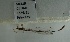  ( - SK119)  @12 [ ] Unspecified (default): All Rights Reserved (2015) Unspecified Unspecified