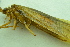  ( - IBSAS-BC4508)  @11 [ ] CreativeCommons  Attribution Non-Commercial Share-Alike (2022) Unspecified Slovak Academy of Sciences, Plant Science and Biodiversity Centre