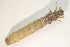  ( - IBSAS-BC2229)  @11 [ ] CreativeCommons  Attribution Non-Commercial Share-Alike (2022) Unspecified Slovak Academy of Sciences, Plant Science and Biodiversity Centre