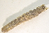 ( - IBSAS-BC2234)  @11 [ ] CreativeCommons  Attribution Non-Commercial Share-Alike (2022) Unspecified Slovak Academy of Sciences, Plant Science and Biodiversity Centre