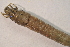  ( - IBSAS-BC2510)  @11 [ ] CreativeCommons  Attribution Non-Commercial Share-Alike (2022) Unspecified Slovak Academy of Sciences, Plant Science and Biodiversity Centre