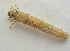  ( - IBSAS-BC1073)  @11 [ ] CreativeCommons  Attribution Non-Commercial Share-Alike (2020) Unspecified Slovak Academy of Sciences, Plant Science and Biodiversity Centre