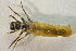  ( - IBSAS-BC4393)  @11 [ ] CreativeCommons  Attribution Non-Commercial Share-Alike (2022) Unspecified Slovak Academy of Sciences, Plant Science and Biodiversity Centre