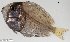  ( - SC025-006)  @11 [ ] Copyright (2020) Unspecified OCEA Consult
