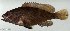  ( - SC098-001)  @11 [ ] Copyright (2020) Unspecified OCEA Consult