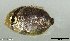  ( - SC115-001)  @11 [ ] Copyright (2020) Unspecified OCEA Consult