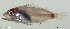  ( - SC116-001)  @11 [ ] Copyright (2020) Unspecified OCEA Consult