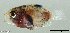  ( - SC119-001)  @11 [ ] Copyright (2020) Unspecified OCEA Consult
