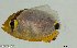  ( - SC125-001)  @11 [ ] Copyright (2020) Unspecified OCEA Consult