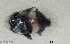  ( - SC134-001)  @11 [ ] Copyright (2021) Unspecified OCEA Consult