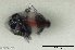  ( - SC134-002)  @11 [ ] Copyright (2021) Unspecified OCEA Consult
