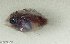  ( - SC138-002)  @11 [ ] Copyright (2021) Unspecified OCEA Consult