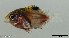  ( - SC146-001)  @11 [ ] Copyright (2021) Unspecified OCEA Consult