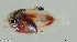  ( - SC146-002)  @11 [ ] Copyright (2021) Unspecified OCEA Consult