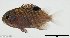  ( - SC146-004)  @11 [ ] Copyright (2021) Unspecified OCEA Consult