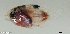 ( - SC147-002)  @11 [ ] Copyright (2021) Unspecified OCEA Consult