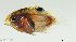  ( - SC147-003)  @11 [ ] Copyright (2021) Unspecified OCEA Consult