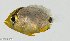  ( - SC173-001)  @11 [ ] Copyright (2021) Unspecified OCEA Consult