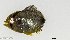  ( - SC190-003)  @11 [ ] Copyright (2021) Unspecified OCEA Consult
