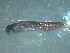  ( - MP1812-666-2-1)  @11 [ ] No Rights Reserved (2019) NA Pacific Islands Fisheries Science Center
