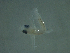  ( - MP1812-848-7-1)  @11 [ ] No Rights Reserved (2019) NA Pacific Islands Fisheries Science Center