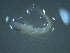  ( - TC0006-28-4)  @11 [ ] No Rights Reserved (2019) NA Pacific Islands Fisheries Science Center