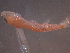  ( - TC0006-30-2)  @11 [ ] No Rights Reserved (2019) NA Pacific Islands Fisheries Science Center
