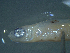  ( - TC0006-56-1)  @11 [ ] No Rights Reserved (2019) NA Pacific Islands Fisheries Science Center