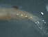  ( - TC0006-56-1)  @11 [ ] No Rights Reserved (2019) NA Pacific Islands Fisheries Science Center