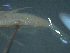  ( - TC0006-56-2)  @11 [ ] No Rights Reserved (2019) NA Pacific Islands Fisheries Science Center