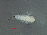  ( - ADSSC_MR-6_2)  @11 [ ] CreativeCommons - Attribution Non-Commercial Share-Alike (2017) Lihu Kolton Dead Sea and Arava Science Centre