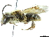  ( - CCDB-34953-B04)  @11 [ ] CreativeCommons - Attribution (2019) CBG Photography Group Centre for Biodiversity Genomics