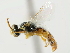  ( - CCDB-34953-D02)  @11 [ ] CreativeCommons - Attribution (2019) CBG Photography Group Centre for Biodiversity Genomics